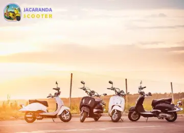 Jacaranda Scooter